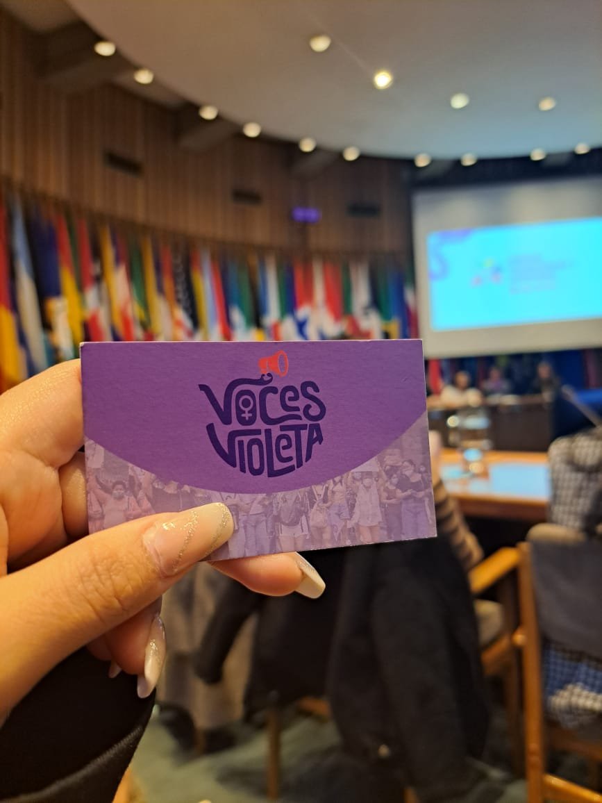 Actividad de Escuelita Violeta